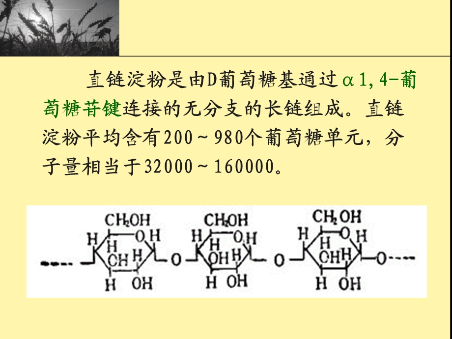 第四章淀粉质原料的蒸煮ppt课件.ppt_第3页