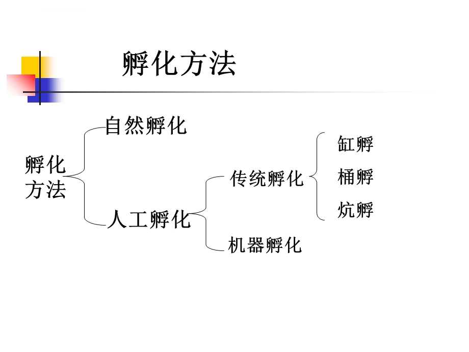 第三章家禽孵化ppt课件.ppt_第2页