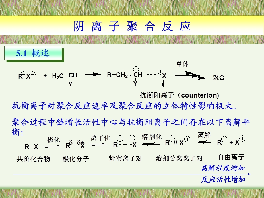 第五章阴离子聚合ppt课件.ppt_第2页