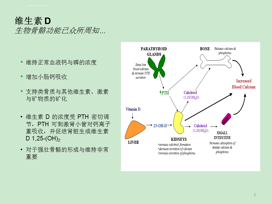 维生素D检测ppt课件.ppt_第3页