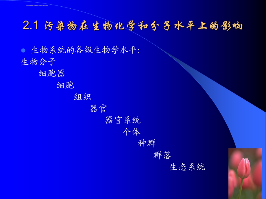 环境生物学第二章 污染物对生物的影响ppt课件.ppt_第2页