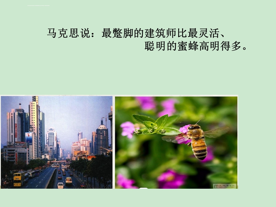 第三课自觉能动与自强不息ppt课件.ppt_第3页