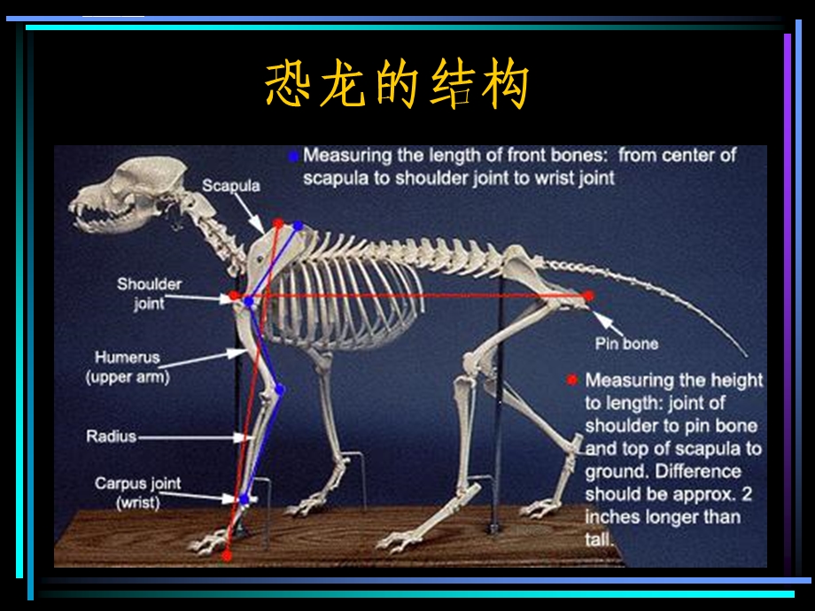 结构化思维与表达ppt课件.ppt_第3页