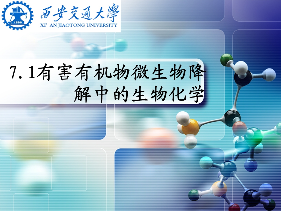 环境生物化学第七章ppt课件.ppt_第1页