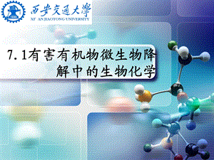 环境生物化学第七章ppt课件.ppt