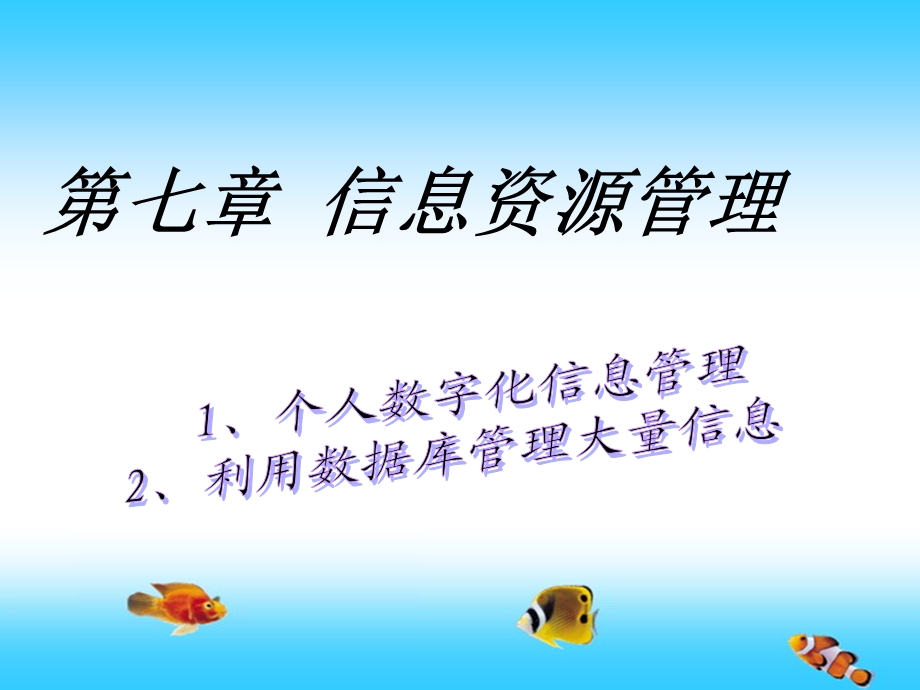 第七章信息资源管理ppt课件.ppt_第1页