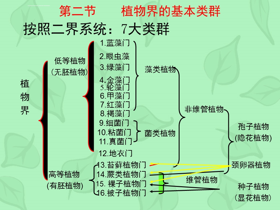 第十章植物界的基本类群高等植物ppt课件.ppt_第1页