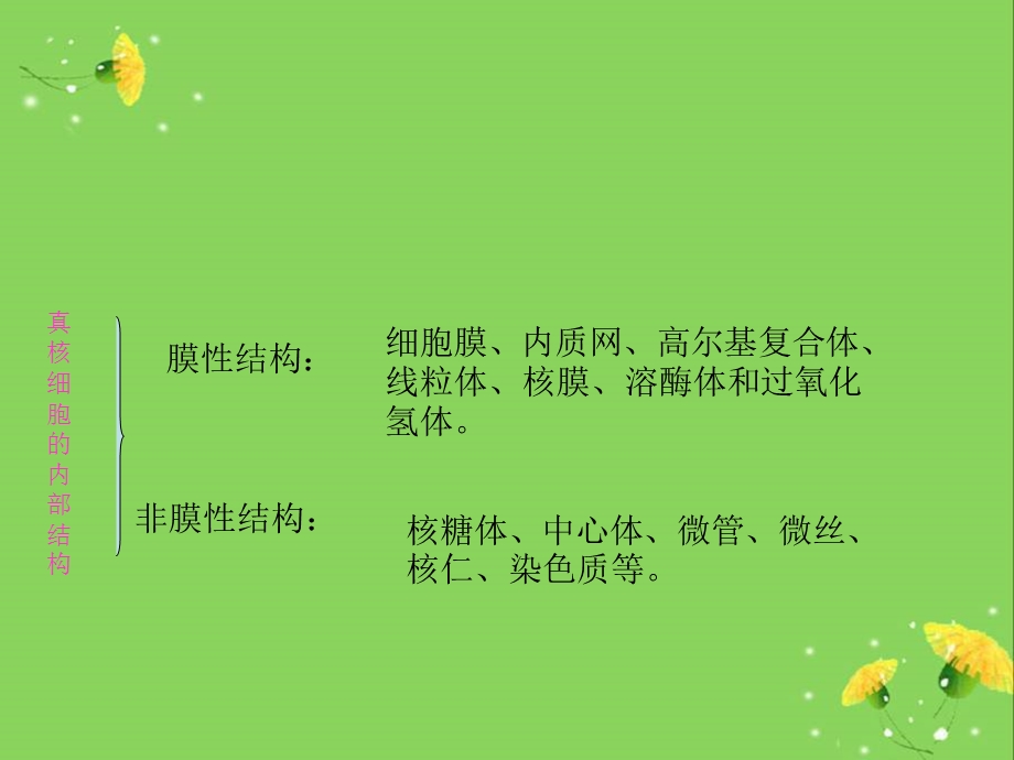 细胞膜结构和功能ppt课件.ppt_第2页