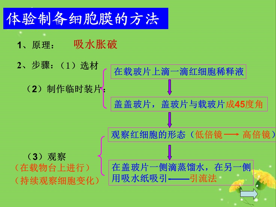 细胞膜结构和功能ppt课件.ppt_第3页