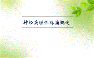 神经病理性疼痛概述ppt课件.ppt