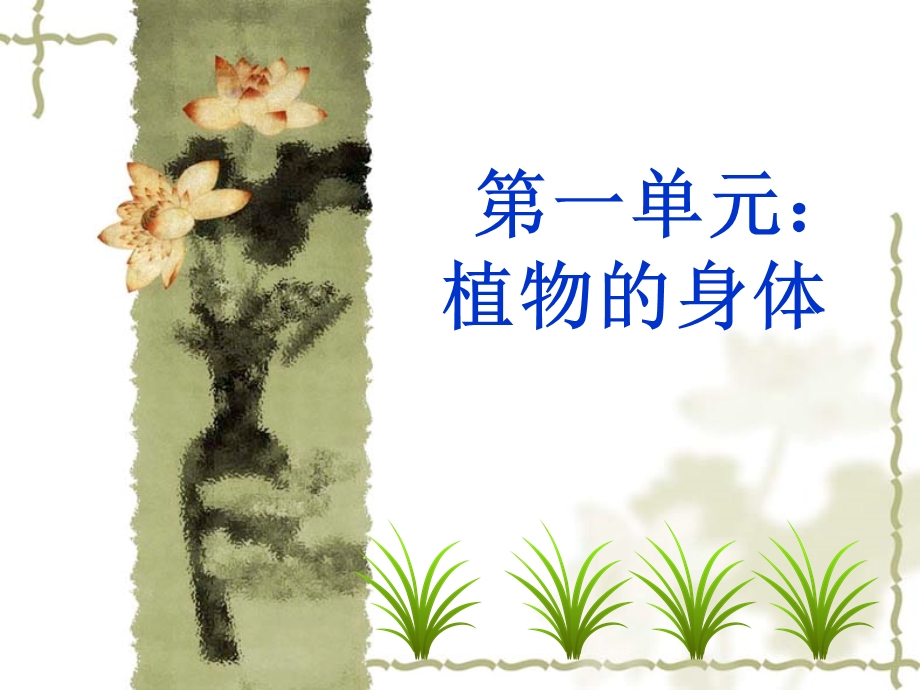 第一章植物的身体ppt课件.ppt_第1页