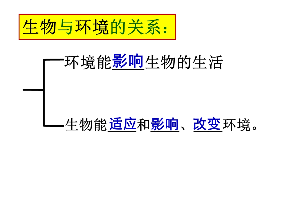 第一节生物与环境的关系(复习)ppt课件.ppt_第2页