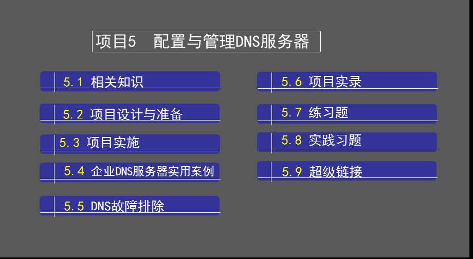 网络服务器搭建(项目5DNS)ppt课件.ppt_第2页