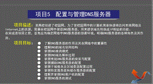 网络服务器搭建(项目5DNS)ppt课件.ppt