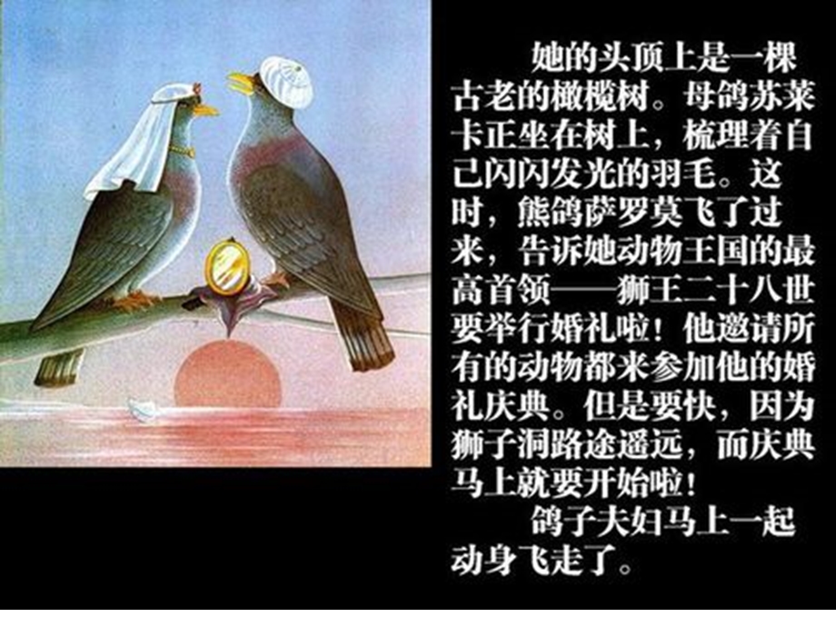 绘本《犟龟》ppt课件.ppt_第3页