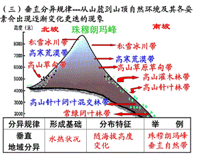 第三课时垂直分异和地方性分异规律ppt课件.ppt