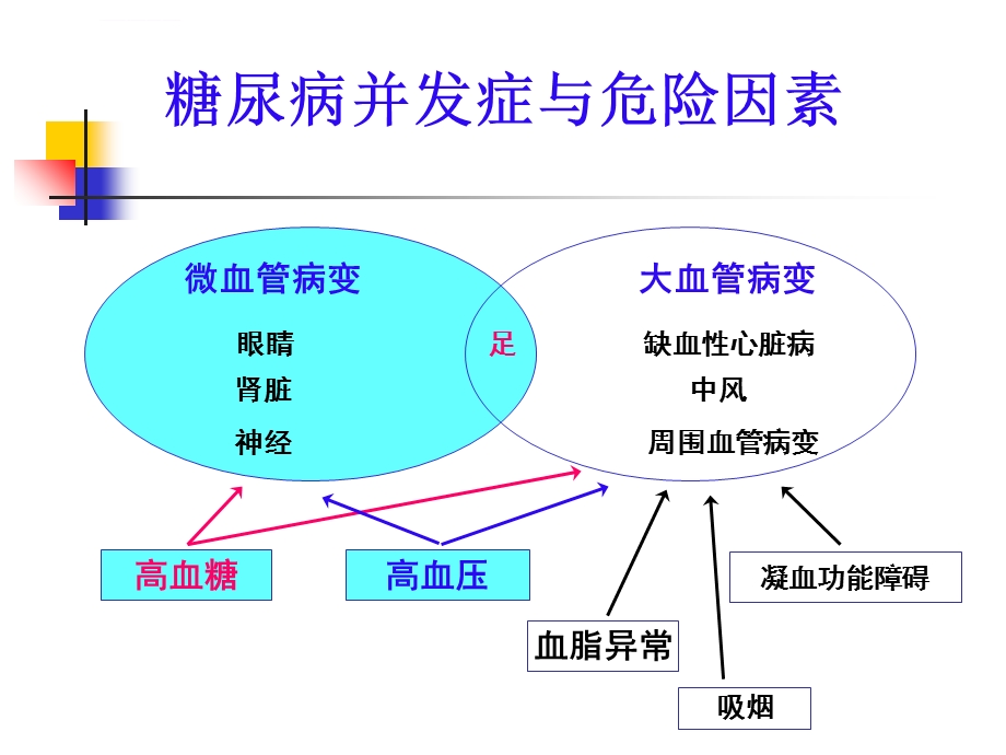 糖尿病微血管病变ppt课件.ppt_第2页