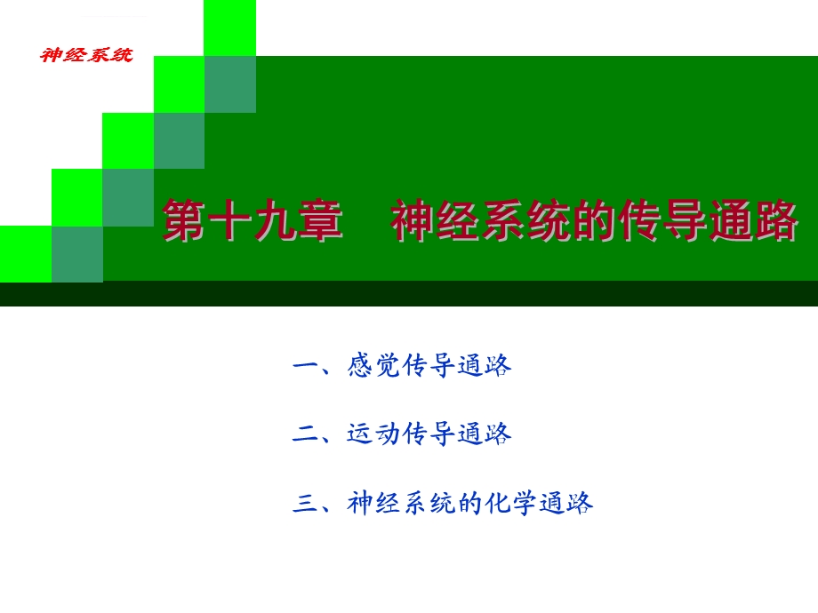 神经系统传导通路ppt课件.ppt_第2页