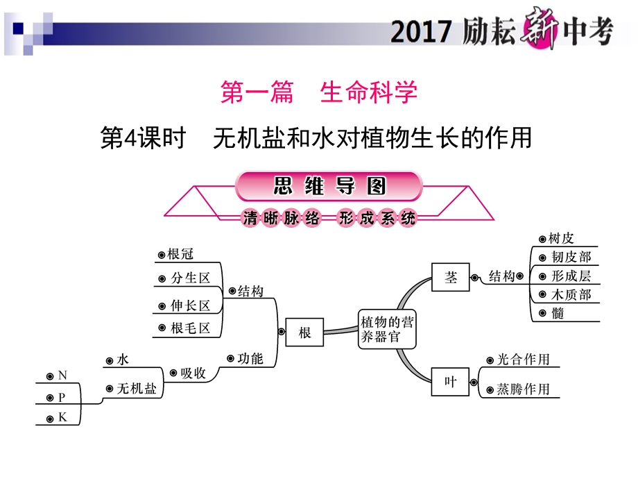 第4课时无机盐和水对植物生长的作用ppt课件.ppt_第1页