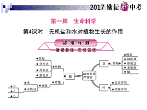 第4课时无机盐和水对植物生长的作用ppt课件.ppt