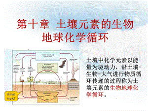 第十章土壤元素的生物地球化学循环ppt课件.ppt