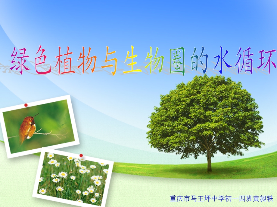 绿色植物与生物圈的水循环ppt课件.ppt_第1页