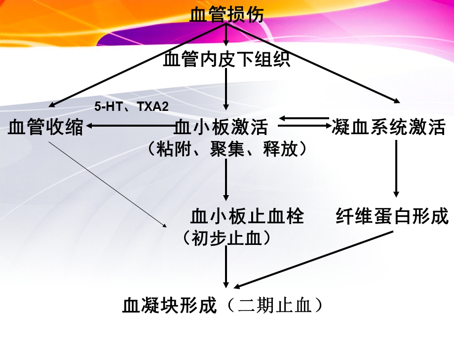 第三节生理性止血ppt课件.ppt_第3页