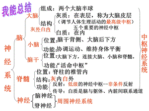 第五章第三节神经调节的基本方式ppt课件.ppt