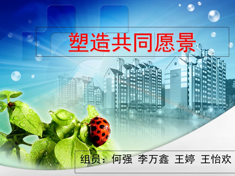 管理学共同愿景ppt课件.ppt_第1页