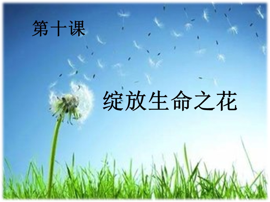 绽放生命之花ppt课件.pptx_第1页