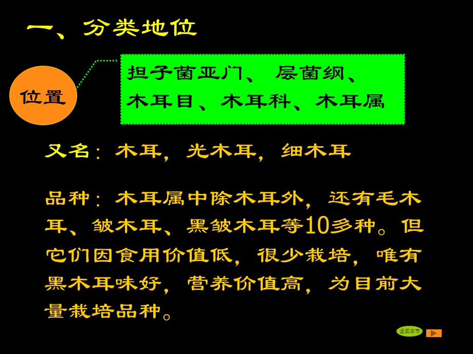 第九章黑木耳栽培ppt课件.ppt_第3页