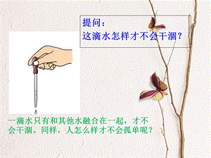 第二节课记住班级上同学的名字ppt课件.ppt