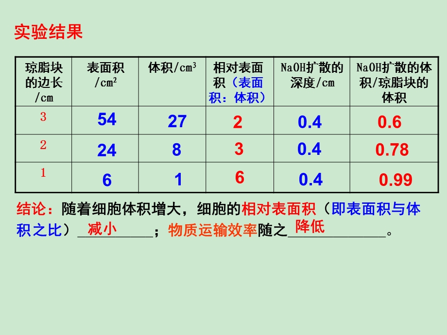 细胞的增殖一轮复习（课堂ppt）课件.ppt_第3页