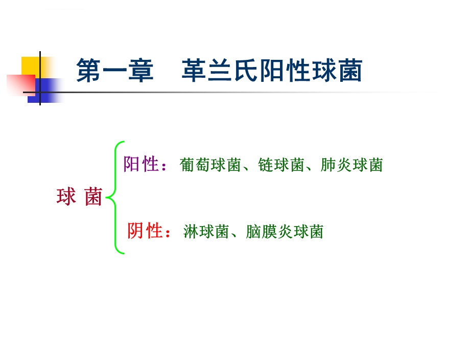 第一章革兰氏阳性球菌ppt课件.ppt_第1页