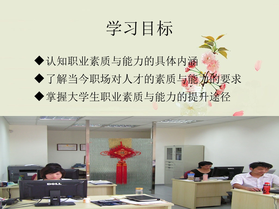 第六章开发职业素质与能力ppt课件.ppt_第2页