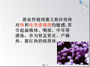 溶血性链球菌ppt课件.ppt