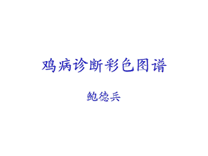 禽病诊断图谱ppt课件.ppt