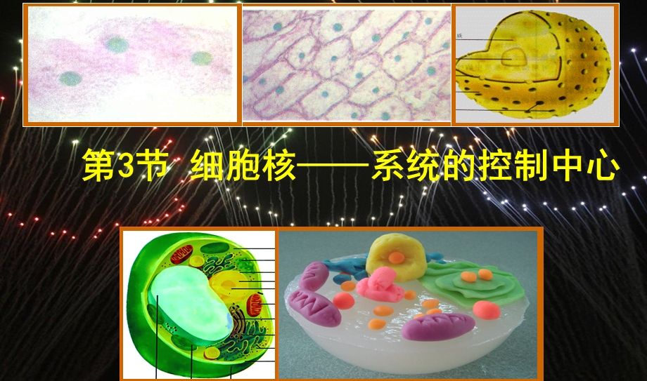 细胞核的结构和功能(课堂ppt)课件.ppt_第2页