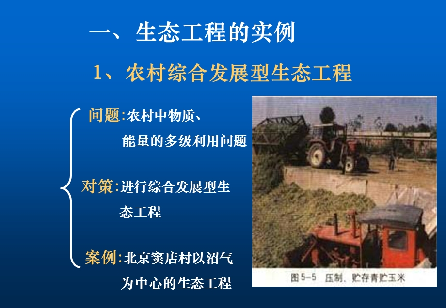 生态工程的实例和应用ppt课件.ppt_第2页