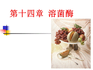 第十四章溶菌酶ppt课件.ppt