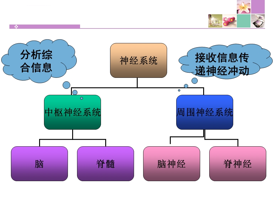 神经系统疾病常见症状体征ppt课件.ppt_第2页