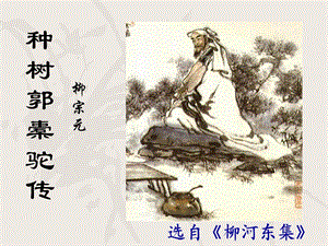 种树郭橐驼传(正用)ppt课件.ppt