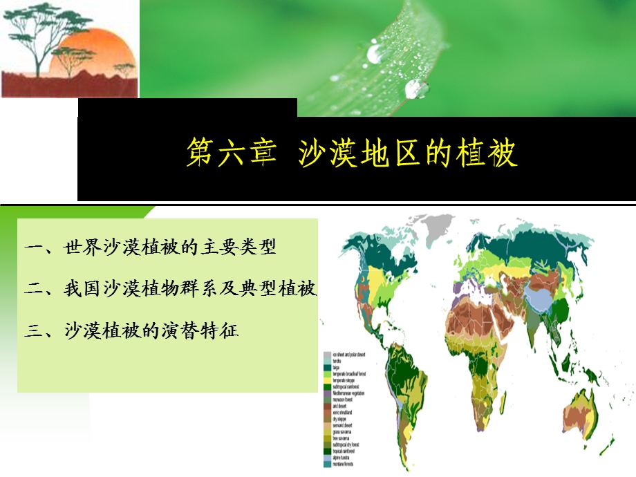 第六章沙漠地区的植被ppt课件.ppt_第1页