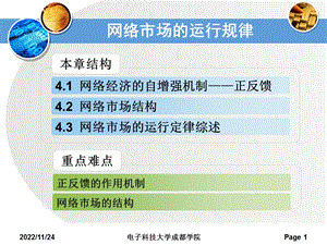 网络市场的运行规律ppt课件.ppt