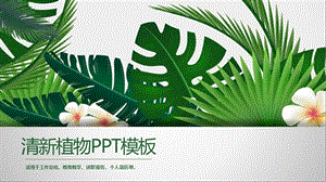 绿色宽叶植物背景ppt模板课件.pptx