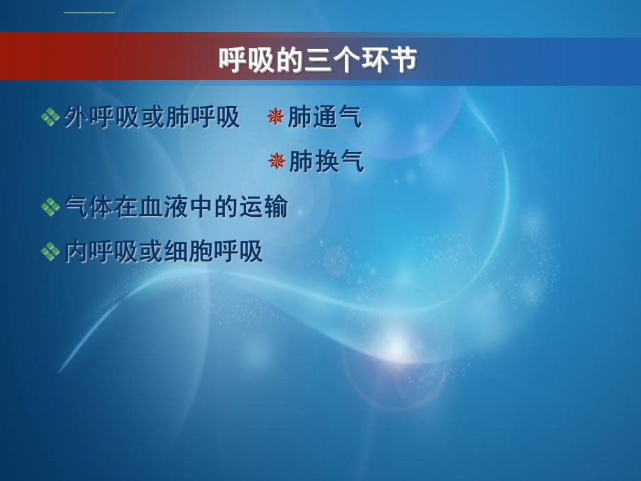 第七章呼吸系统结构与功能ppt课件.ppt_第2页