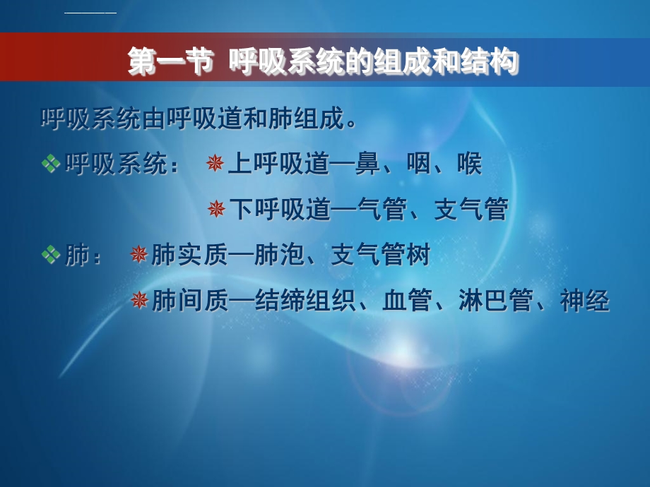 第七章呼吸系统结构与功能ppt课件.ppt_第3页