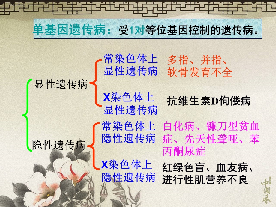 第三节人类遗传病ppt课件.ppt_第3页