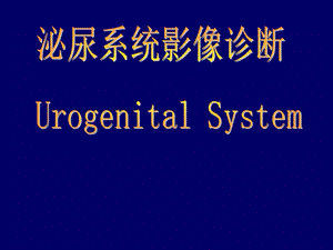 泌尿系统影像学表现(详细、全面)ppt课件.ppt