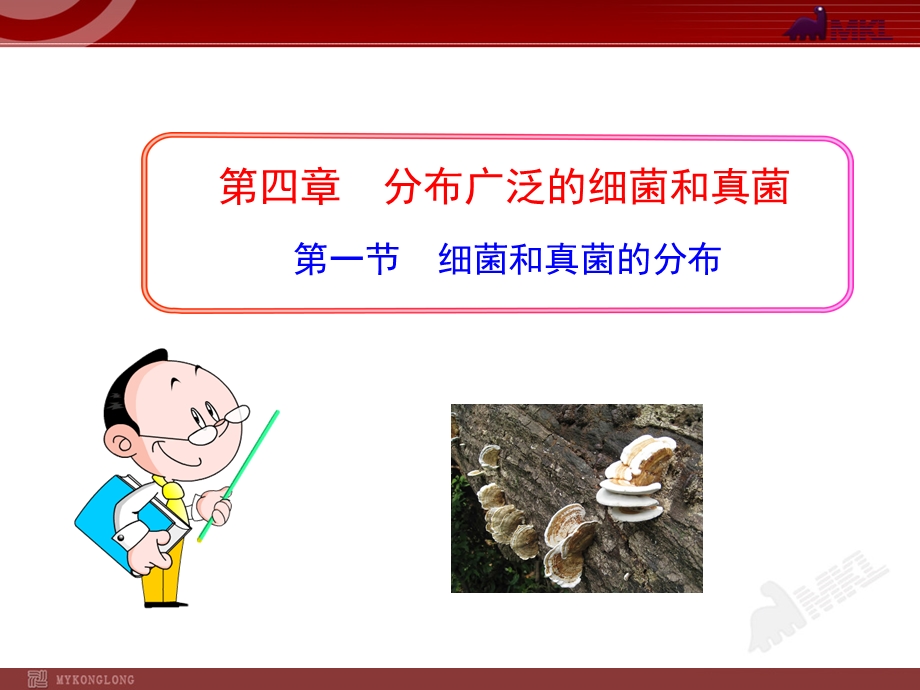 第一节细菌和真菌的分布ppt课件.ppt_第1页